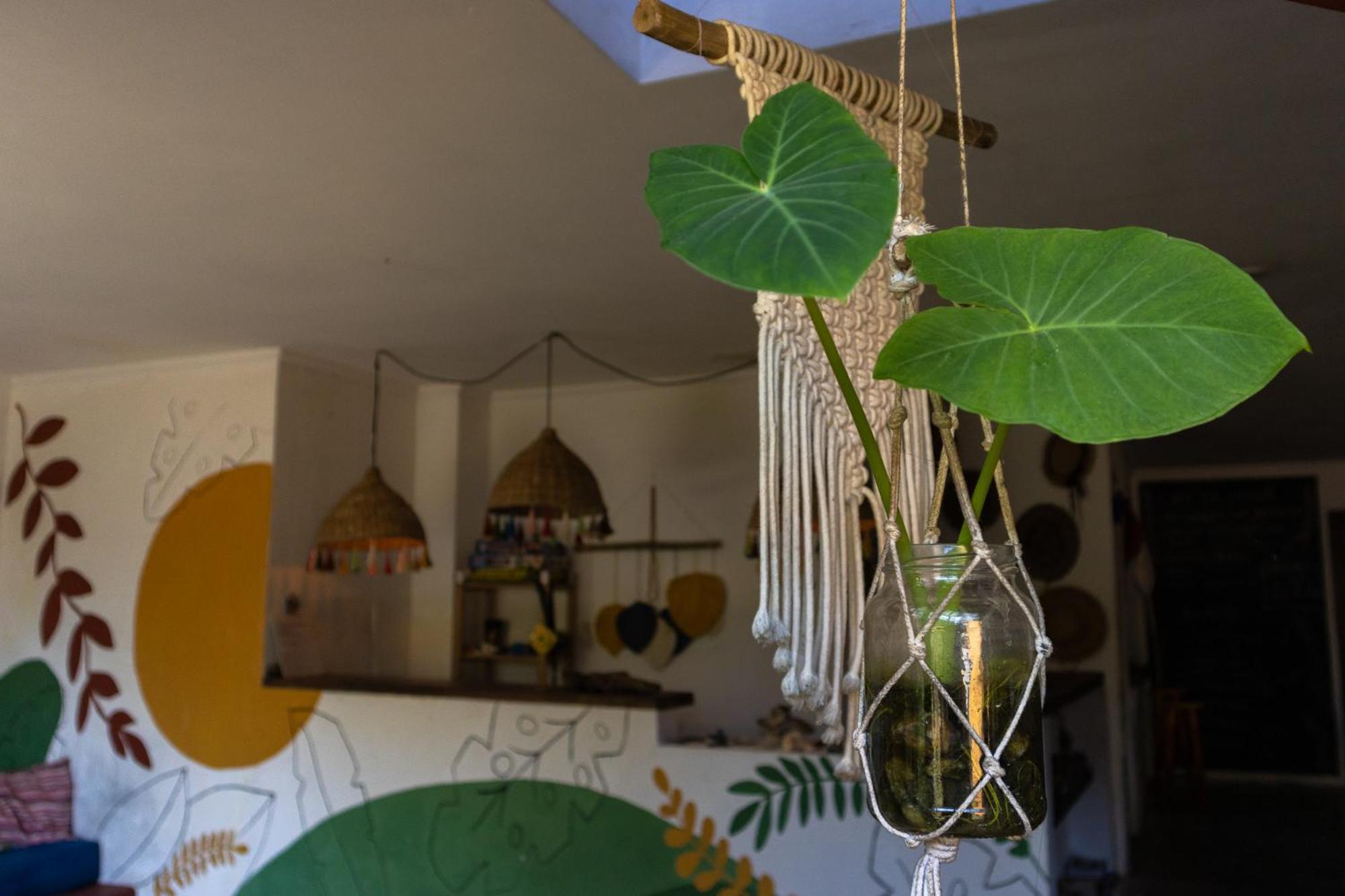 Sambaqui Hostel Ilhabela Kültér fotó